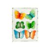 6PK BUTTERFLY MAGNET 8119