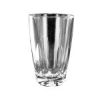 Logan Crista Beverage Tumbler