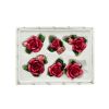 Rose Magnets Set