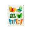 6PK BUTTERFLY MAGNET 8119