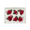 Rose Magnets Set